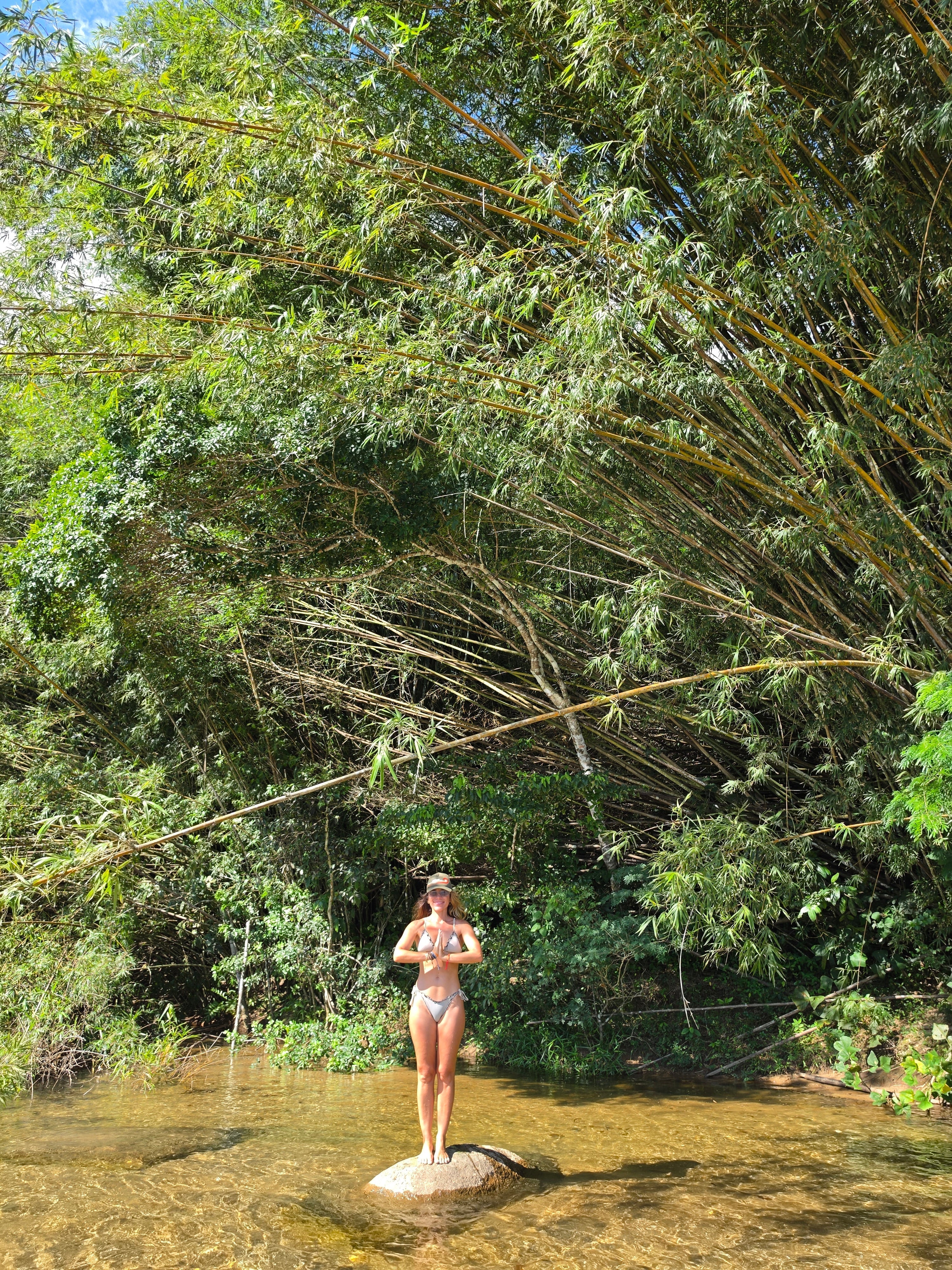 AUTO-EXAME DE SISTEMA IMUNOLÓGICO FRACO